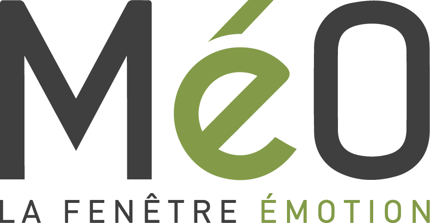 logo_meo_couleur-VDEF logo_meo_couleur-VDEF